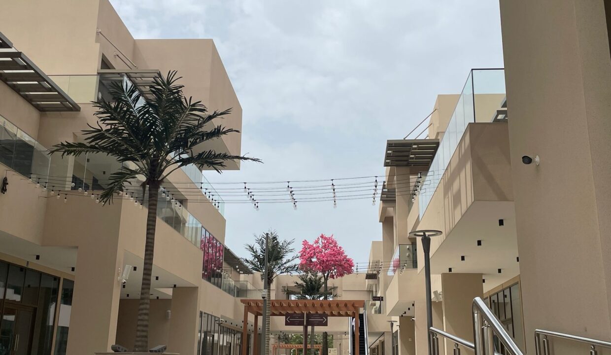 WhatsApp Image 2025-08-18 at 08.48.32_ac420b6b