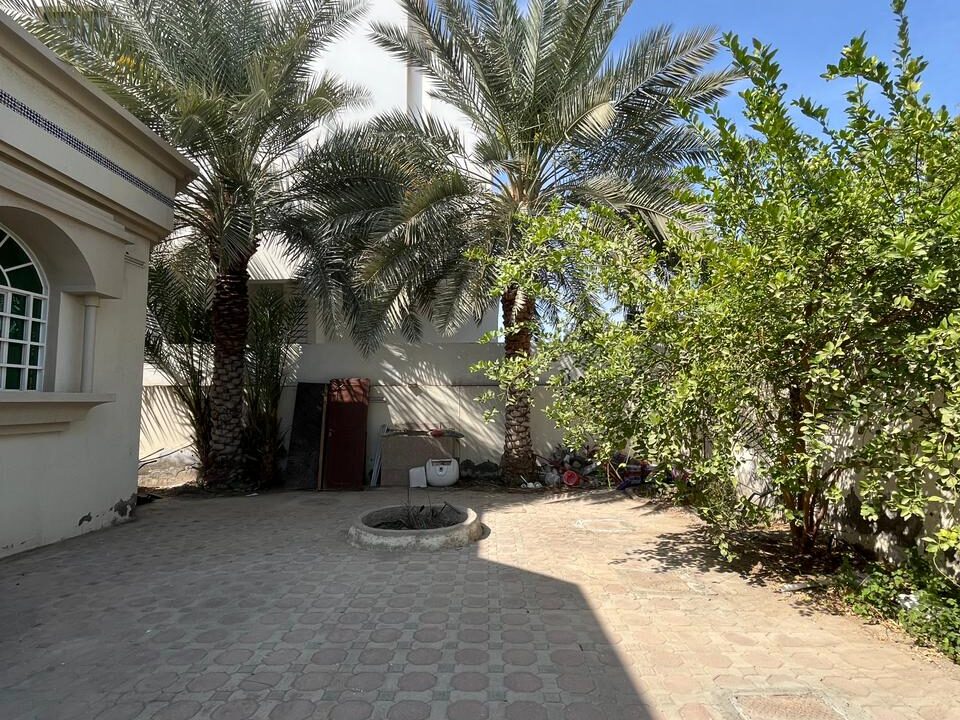 WhatsApp Image 2026-03-12 at 5.19.05 PM