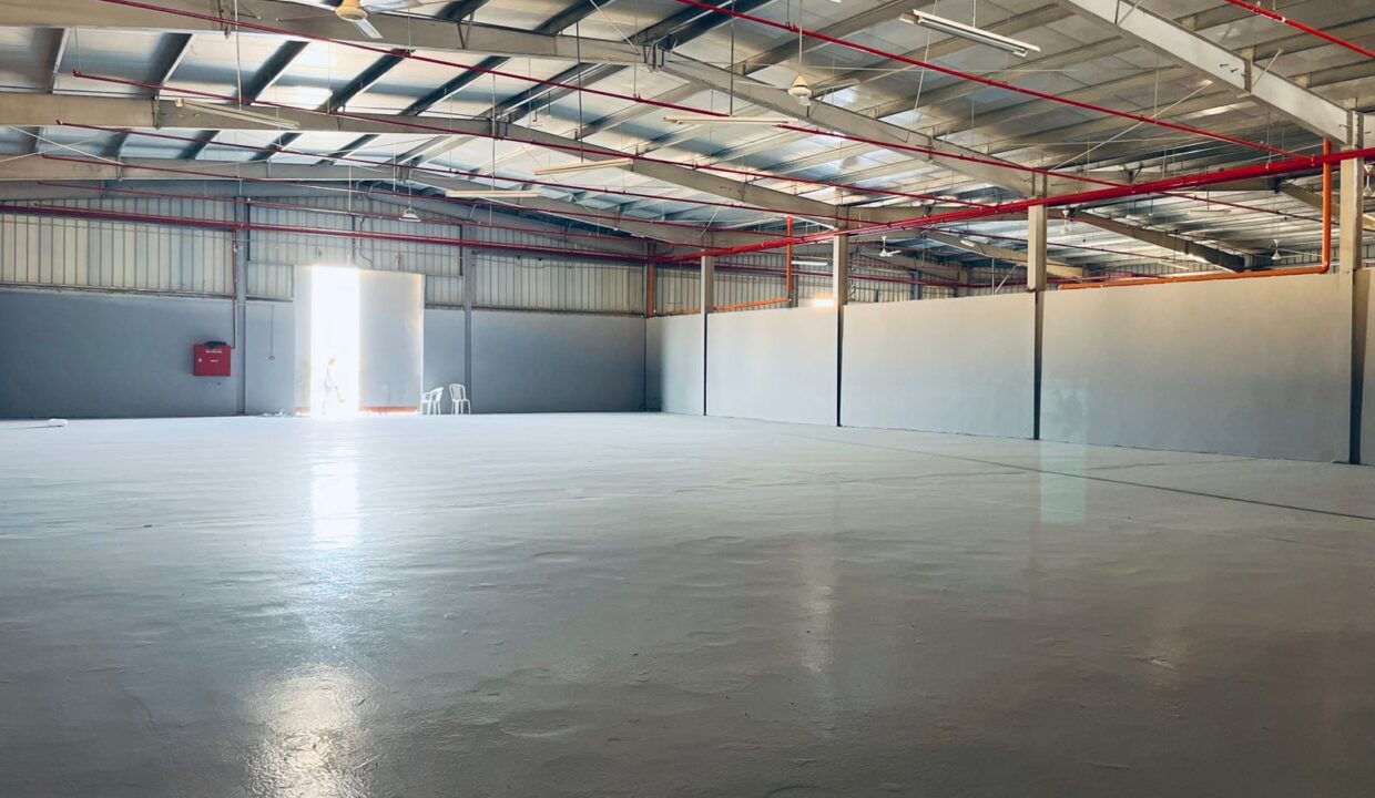 WhatsApp Image 2026-03-29 at 3.30.58 PM (3)