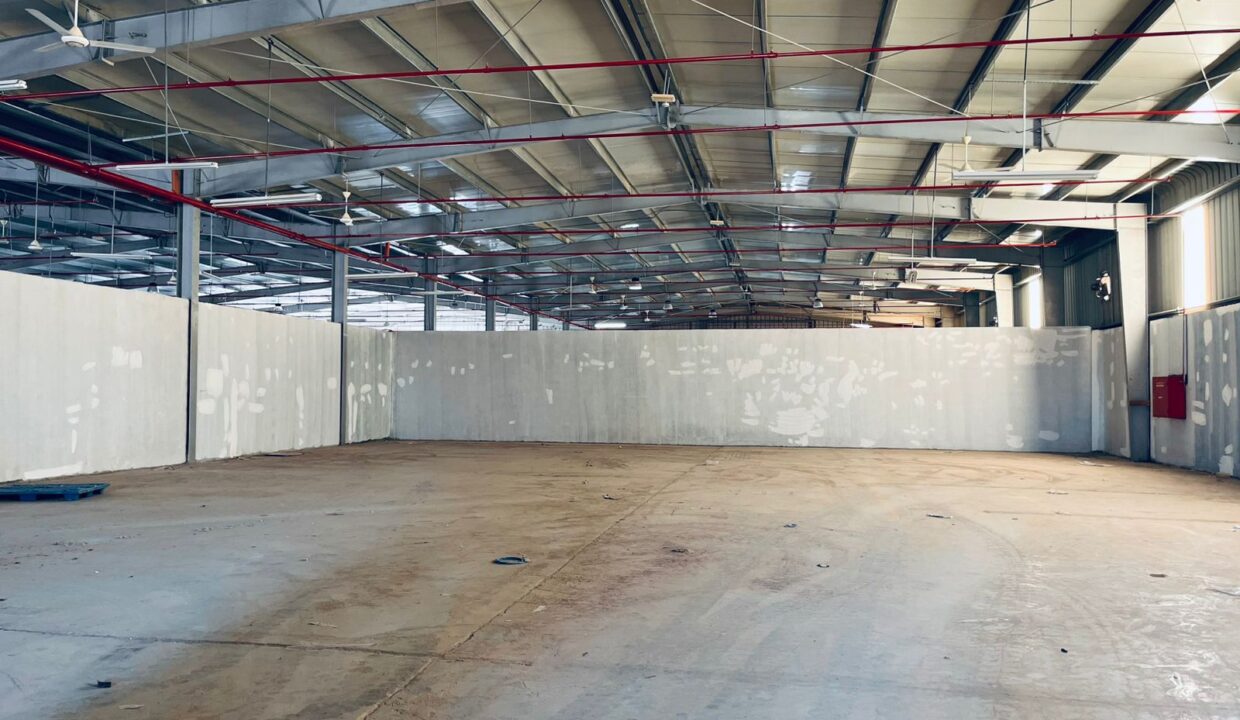 WhatsApp Image 2026-03-29 at 3.30.58 PM (4)